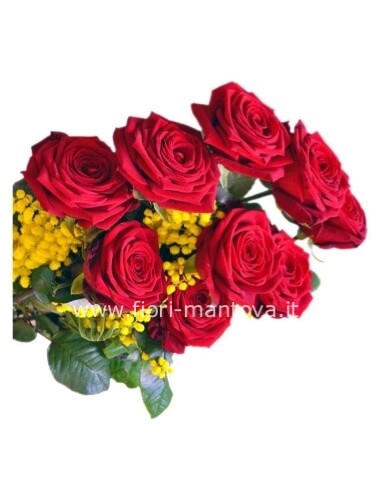 Rose rosse a stelo lungo con mimosa